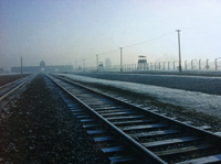 Schienen nach Auschwitz